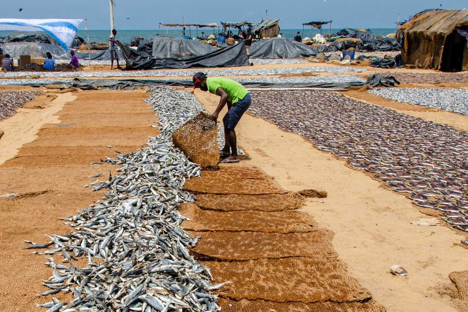 Blissful Beginnings Tour